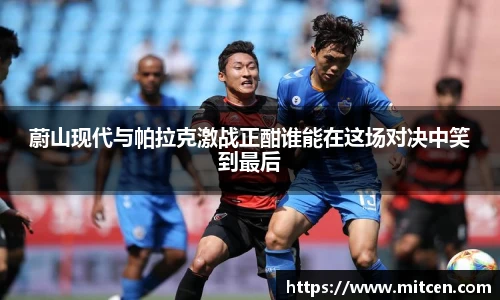 星空.综合体育(中国)官方网站